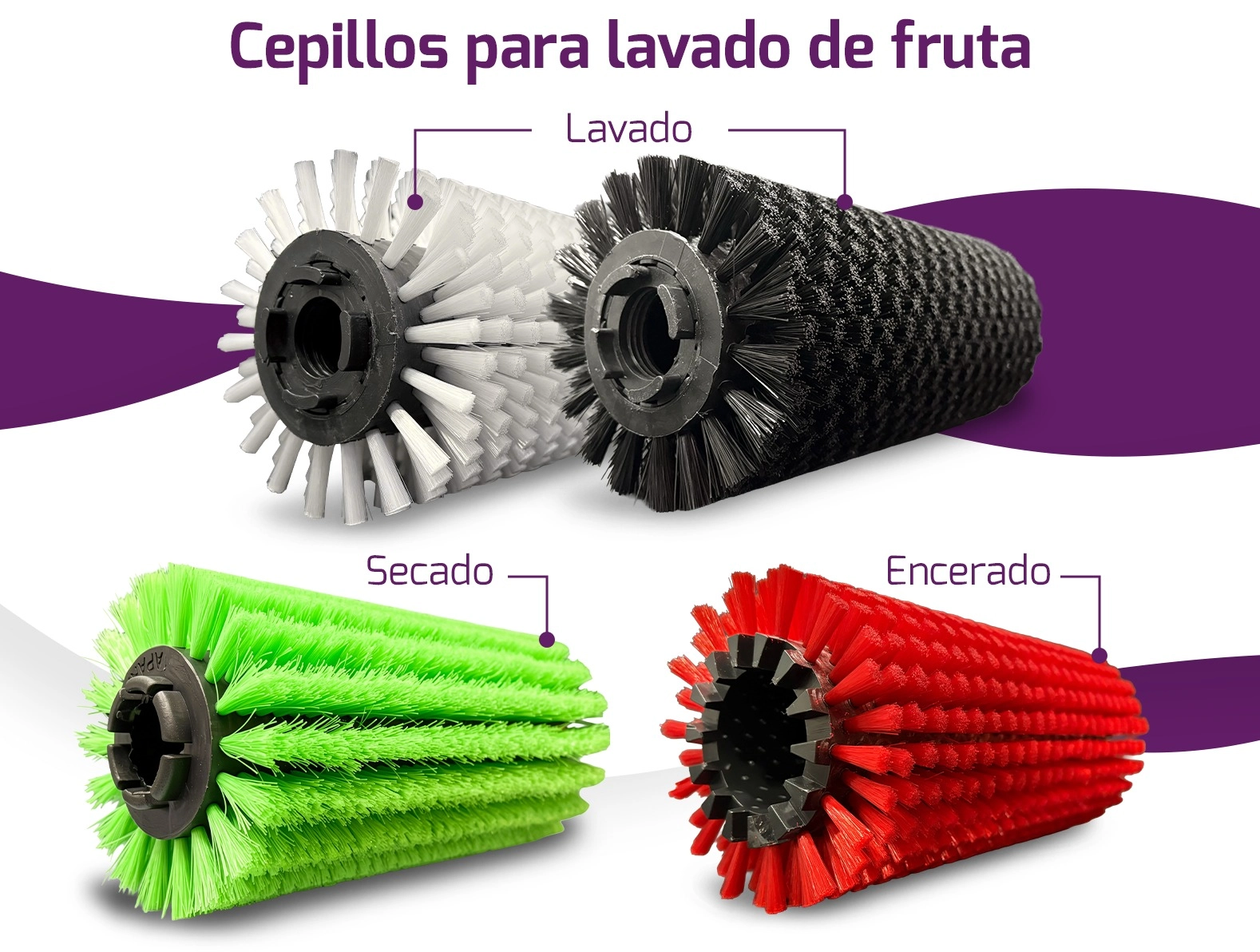 9b23e5f8-ccd1-4160-a3ea-8f8b304c9ae5_resultado
