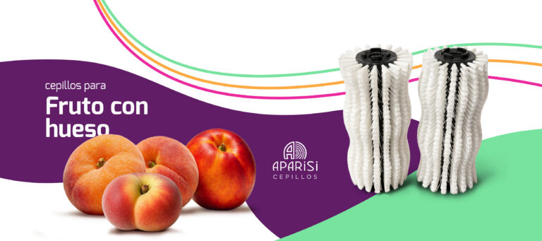 Limpieza de frutos con hueso mediante cepillos industriales: aspectos clave para un proceso delicado y eficiente